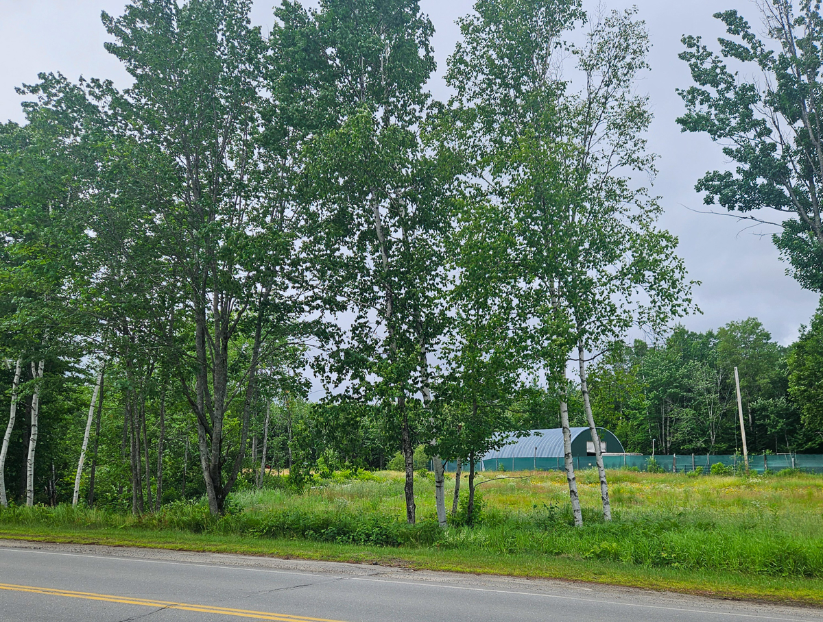 video image