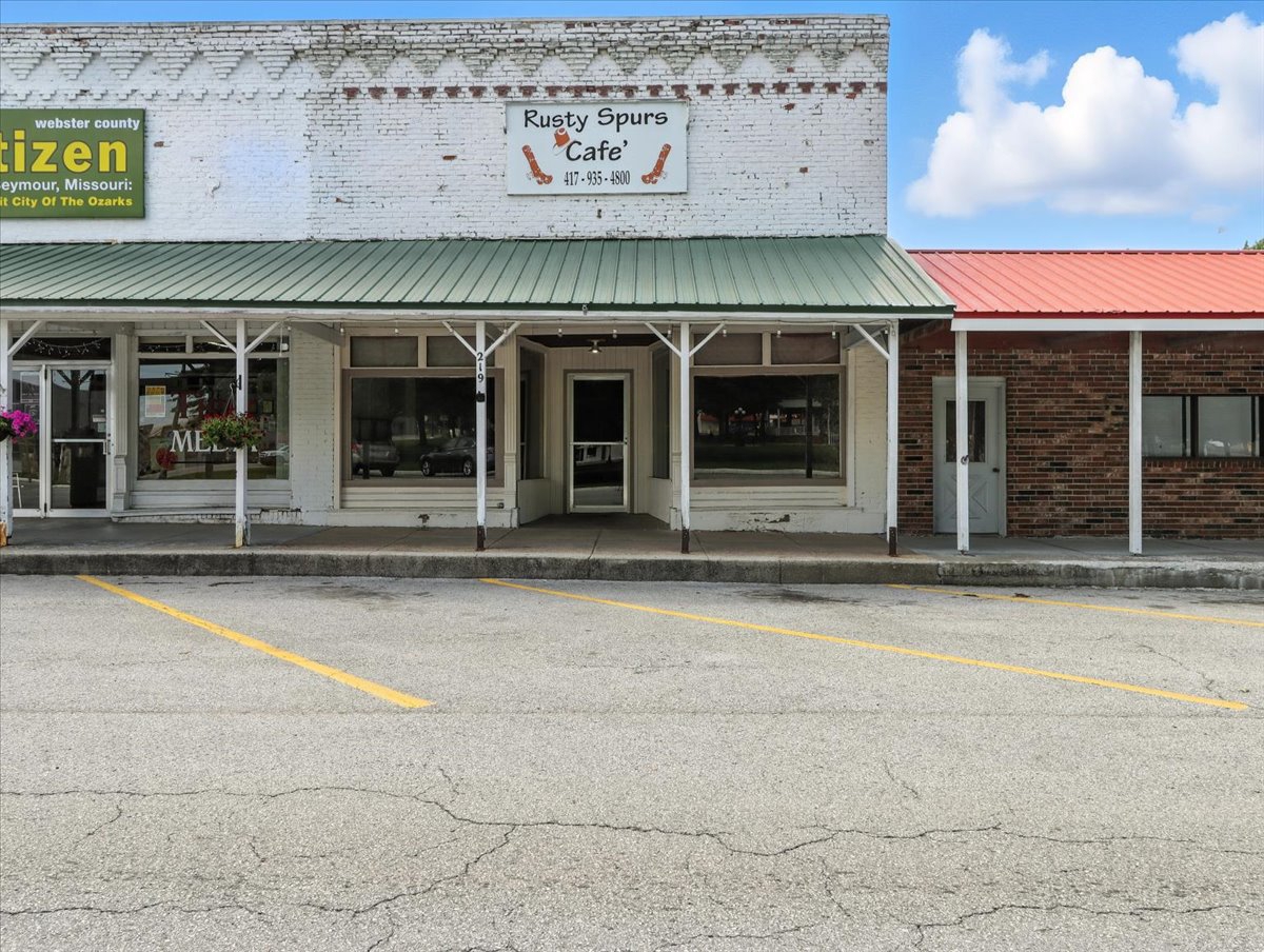video image