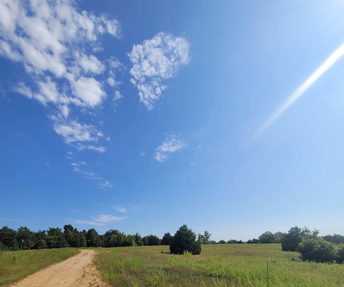 Commercial Property For Sale In Doniphan Missouri