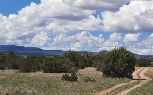 Rural Northern AZ Residential/Commercially zoned property